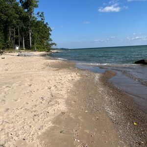 Meet your Posher, Patti